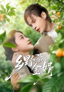 鄉野藏金婿(全集)