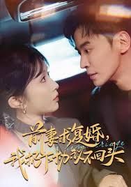 前妻求復(fù)婚，我扔下協(xié)議不回頭(全集)