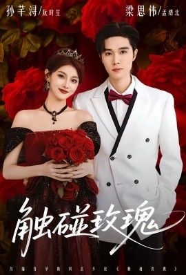 觸碰玫瑰（凌晨四點(diǎn)半，玫瑰花未眠）(全集)