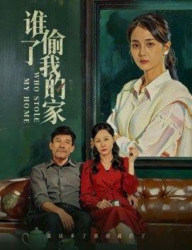 誰(shuí)偷了我的家(全集)