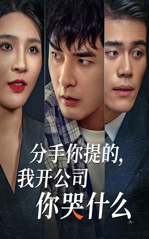 分手你提的，我開(kāi)公司你哭什么(全集)