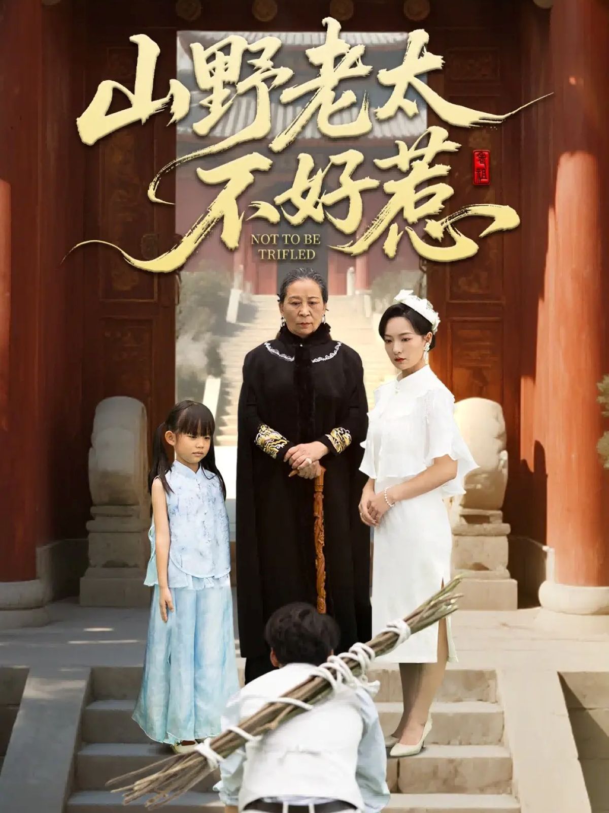 山野老太不好惹（奶奶一腳震全城）(全集)