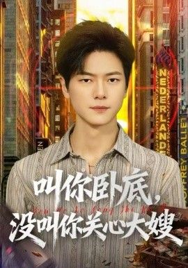 叫你臥底，沒叫你關(guān)心大嫂(全集)