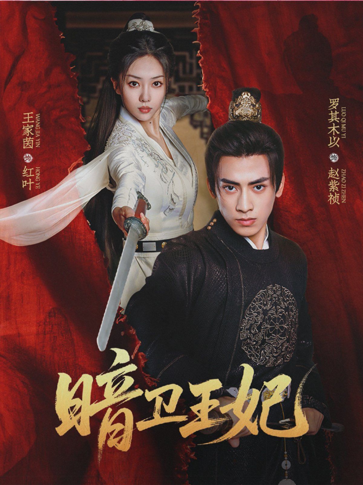 暗衛王妃(全集)