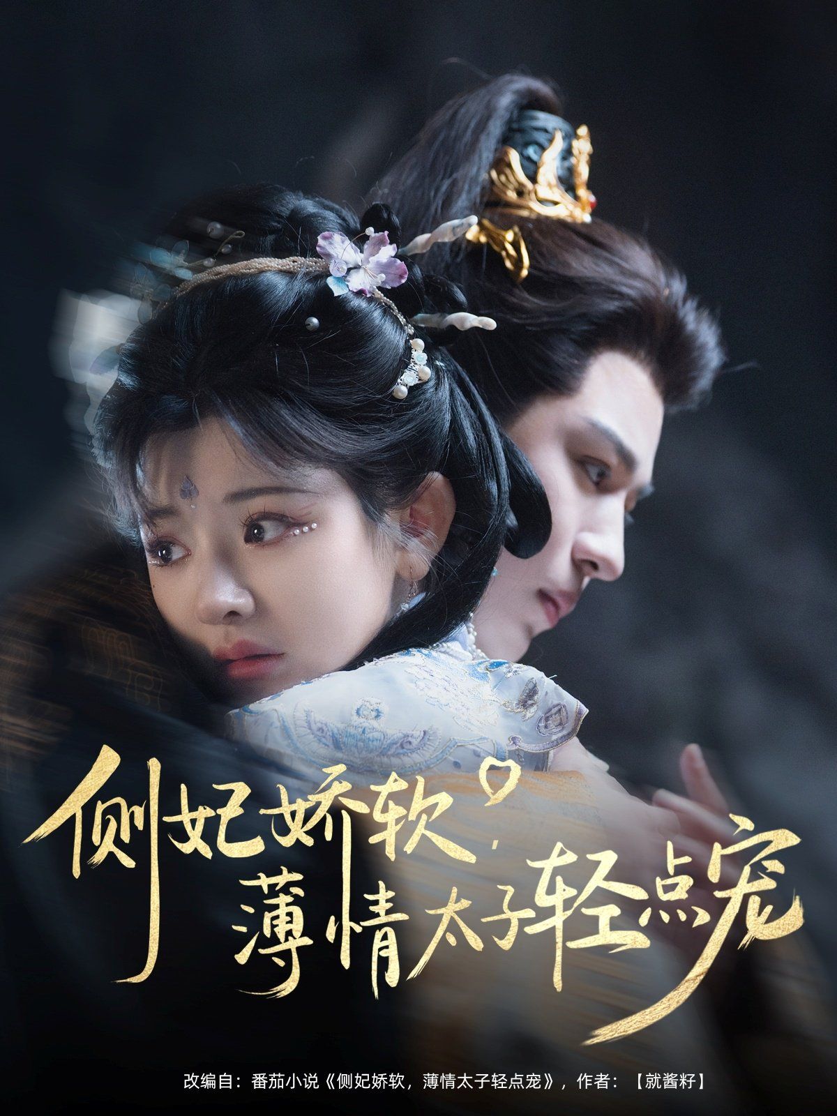 側(cè)妃嬌軟薄情太子輕點(diǎn)寵(全集)