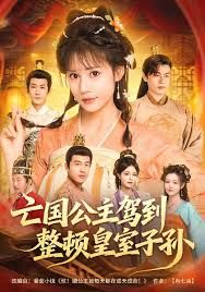 亡國公主駕到，整頓皇室子孫(全集)