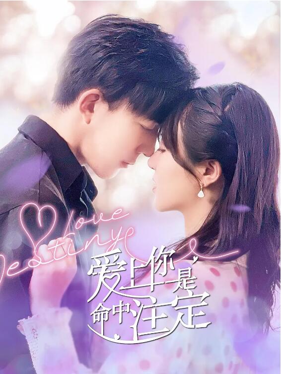 愛上你是命中注定(全集)