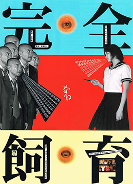 禁室培欲.完全飼育中字