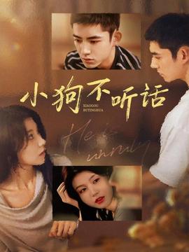 小狗不聽話全集(大結(jié)局)